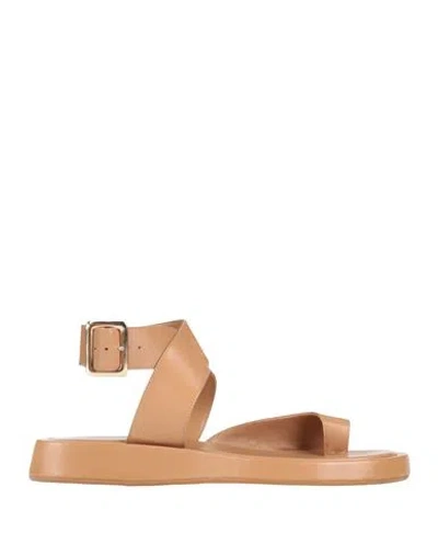 Gia Rhw Gia / Rhw Woman Thong Sandal Light Brown Size 9 Leather In Beige
