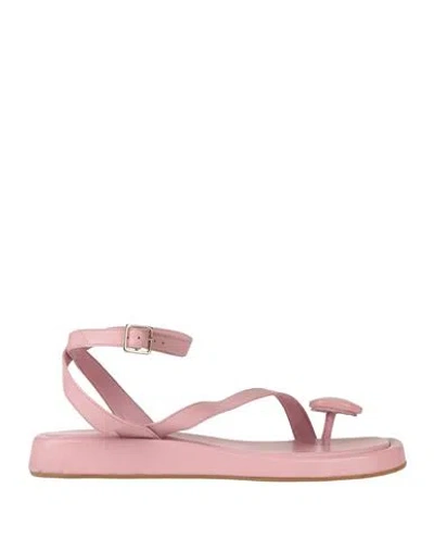 Gia Rhw Gia / Rhw Woman Thong Sandal Pink Size 10 Leather