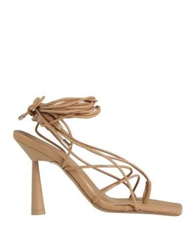 Gia Rhw Gia / Rhw Woman Thong Sandal Sand Size 10 Textile Fibers In Beige