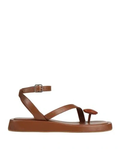 Gia Rhw Gia / Rhw Woman Thong Sandal Tan Size 6 Leather In Brown