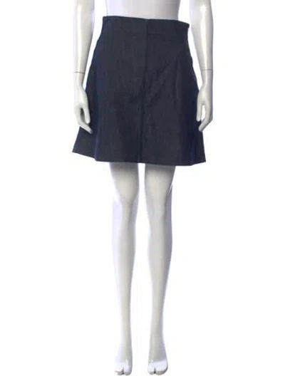 Pre-owned Giamba Mini Skirt In Blue