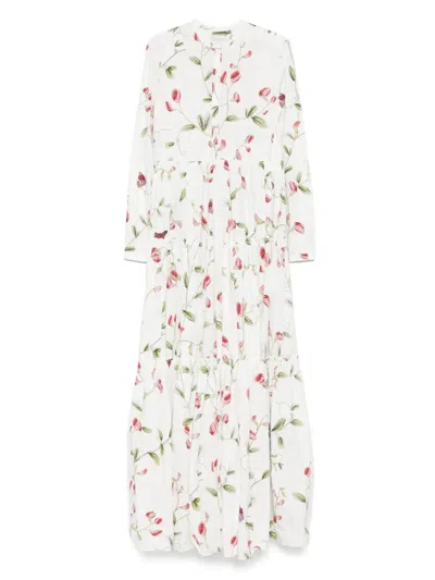 Giambattista Valli Dress In Multi