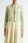 Giambattista Valli Lace Crop Jacket In Mint