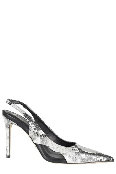 Giampaolo Viozzi Pit In Gray