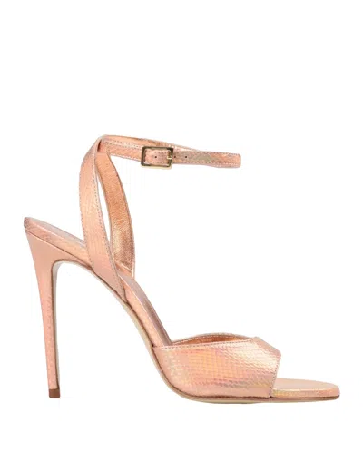 Giampaolo Viozzi Sandals In Pink