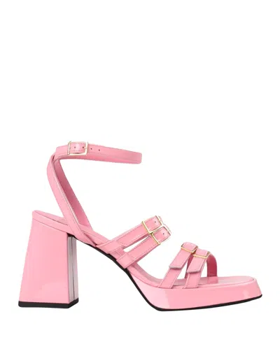 Giampaolo Viozzi Sandals In Pink