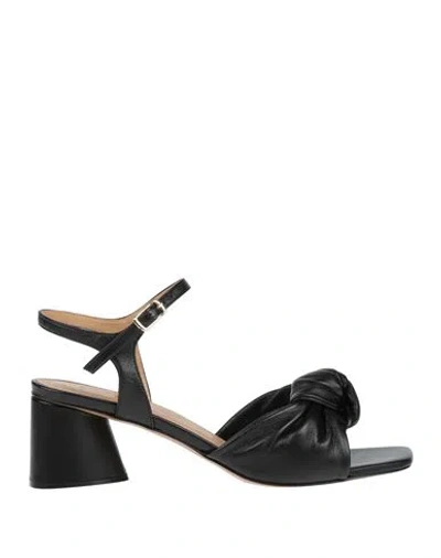 Giancarlo Fittipaldi Woman Sandals Black Size 8 Leather