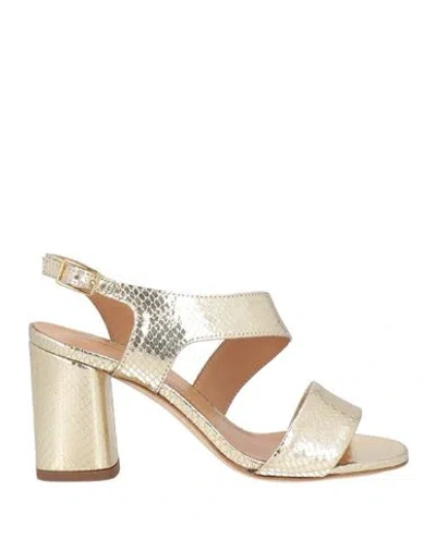 Gianmarco Sorelli Woman Sandals Platinum Size 5 Textile Fibers