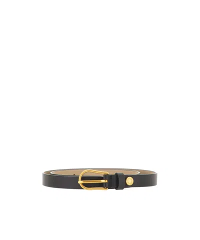Gianni Chiarini Stud-detail Leather Belt In Multi