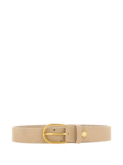 Gianni Chiarini Stud Embellished Buckle Belt In Brown