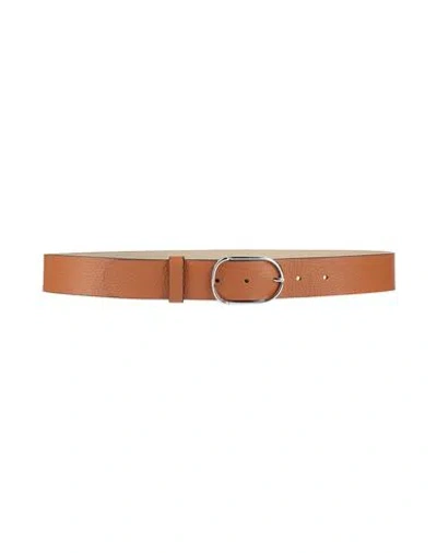 Gianni Chiarini Woman Belt Brown Size 30 Leather