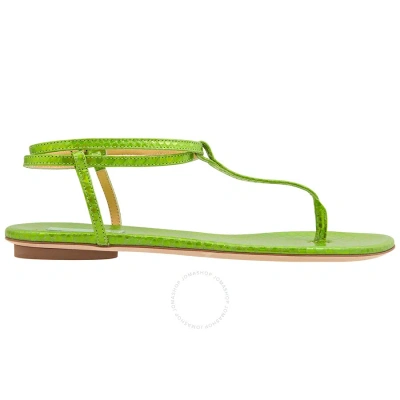 Giannico Ladies Kai Flip Flops Leather Flats In Green