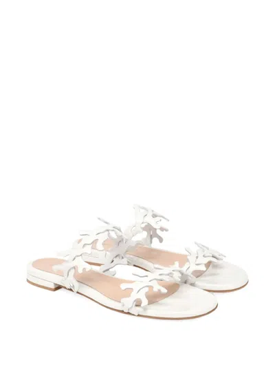 Gianvito Rossi 10mm Ocean Coral-embellishments Flat Sandals In Animal Print