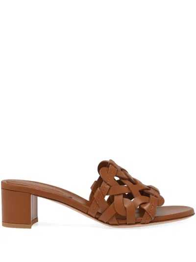 Gianvito Rossi 45mm Amalfi Mules In Braun