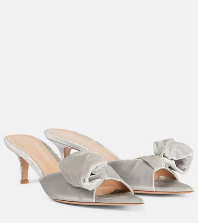 Gianvito Rossi 55 Bow-detail Velvet Mules In Silver