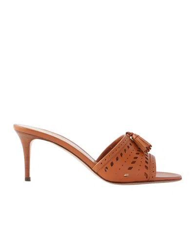 Gianvito Rossi 70 Laser-cut Leather Mules In Brown
