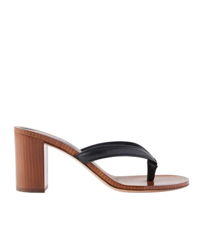 Gianvito Rossi 70 Leather Thong Sandals In Black