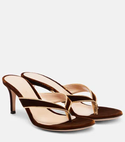Gianvito Rossi 70 Leather-trimmed Velvet Mules In Multi
