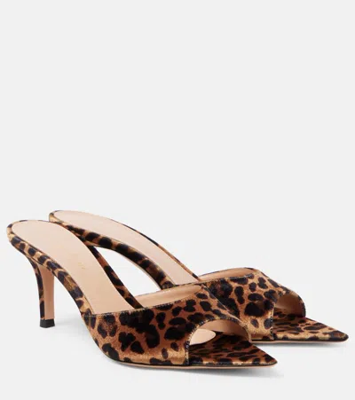 Gianvito Rossi 70 Leopard-print Velvet Mules In Brown