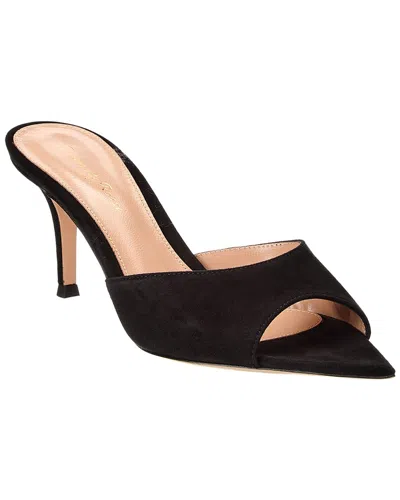 Gianvito Rossi 70 Suede Mule In Black