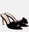 Gianvito Rossi 85 Bow-detail Velvet Mules In Black