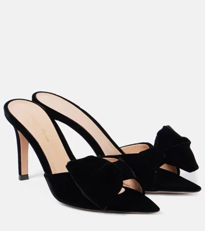 Gianvito Rossi 85 Bow-detail Velvet Mules In Black