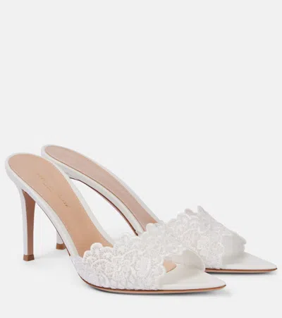 Gianvito Rossi Pantoletten 85 Mit Spitze