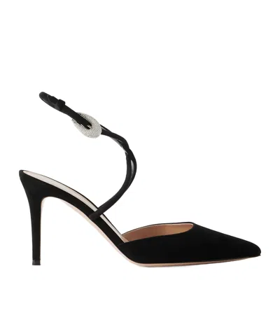 Gianvito Rossi Jungle Mamba 85 Crystal-embellished Suede Pumps In Black