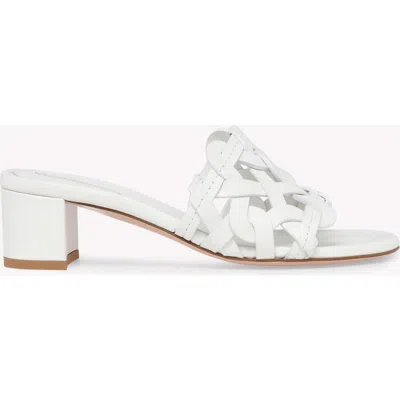 GIANVITO ROSSI GIANVITO ROSSI AMALFI 45 MULE