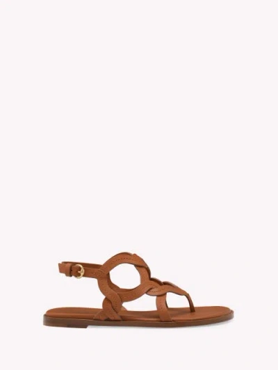 Gianvito Rossi Amalfi Thong Sandal In Brown