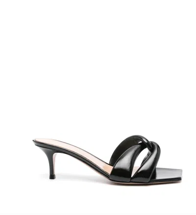 Gianvito Rossi Amour 55 Mule In Black