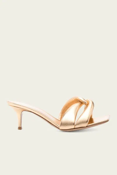 Gianvito Rossi Amour 55 Mule In Gold