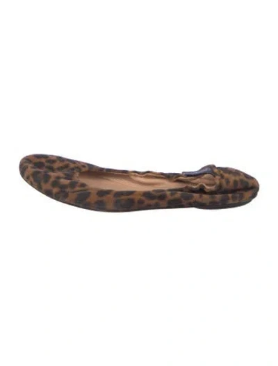 Pre-owned Gianvito Rossi Animal Print Ballet Flats In Brown