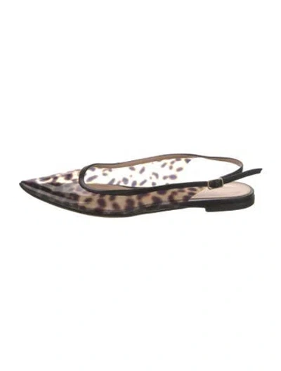 Pre-owned Gianvito Rossi Animal Print Flats In Black/neutrals