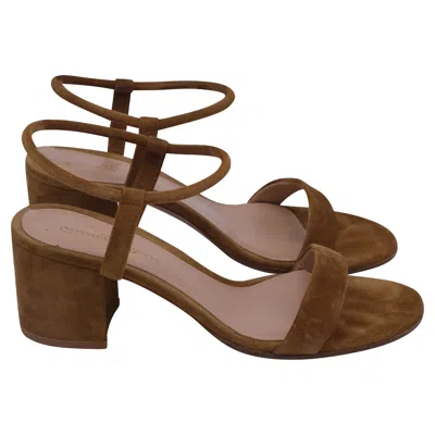 Gianvito Rossi Ankle Strap Block-heel Sandals In Brown Suede