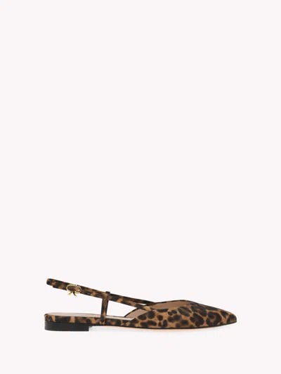 Gianvito Rossi Ascent 05 In Leopard Print