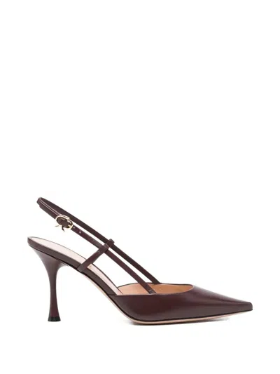 Gianvito Rossi "ascent" Calf Leather T. 085 Pump In Brown