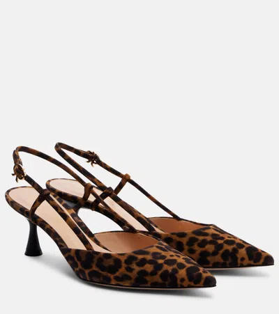 Gianvito Rossi Ascent Leopard-print Suede Slingback Pumps In Animal Print