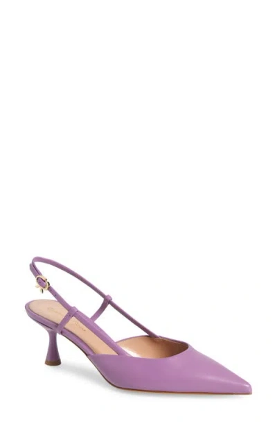Gianvito Rossi Ascent Pointed Toe Kitten Heel Slingback Pump In Melrose