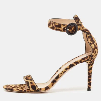 Pre-owned Gianvito Rossi Beige/brown Leopard Print Calf Hair Portofino Ankle-strap Sandals Size 41