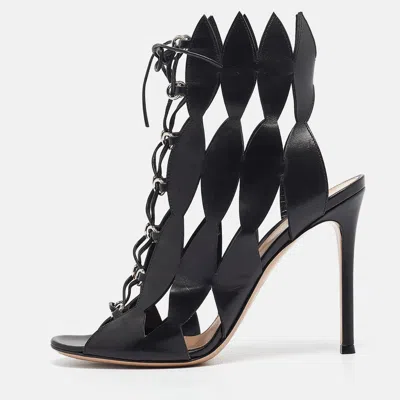 Gianvito Rossi Black Cutout Leather Lace Up Ankle Booties In Multi