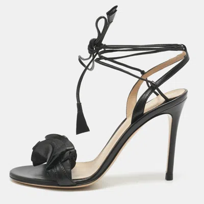 Pre-owned Gianvito Rossi Black Leather Ruffle Detail Ankle Wrap Sandals Size 36.5