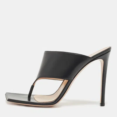 Pre-owned Gianvito Rossi Black Leather Thong Slide Sandals Size 39.5