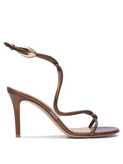 Gianvito Rossi Black Mamba 85 In Brown