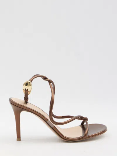 Gianvito Rossi Black Mamba Heeled Sandals 85 In Brown