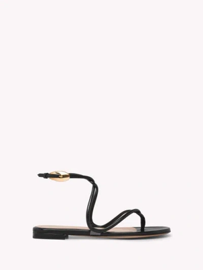 GIANVITO ROSSI GIANVITO ROSSI BLACK MAMBA FLAT SANDALS