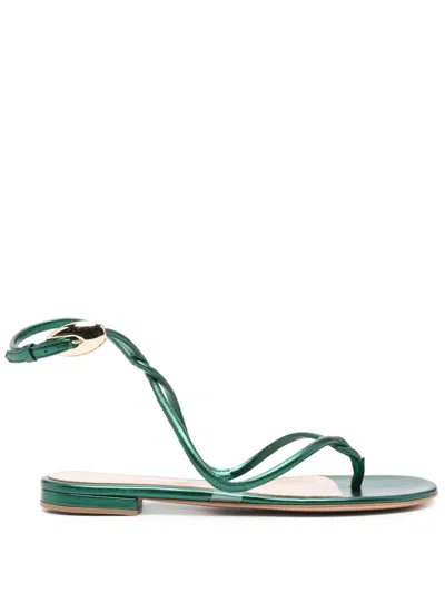 Gianvito Rossi Black Mamba Flat Sandals In Green