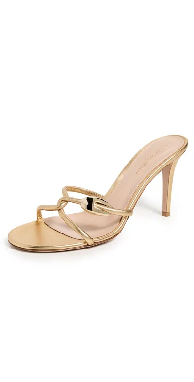Gianvito Rossi Black Mamba Nappa Silk Mules Mekong In Gold