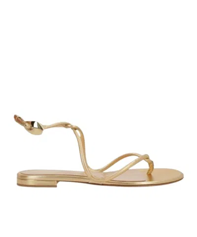 Gianvito Rossi Black Mamba Sandals In Gold