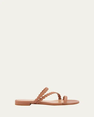 Gianvito Rossi Braided Leather Flat Slingback Sandals In Praline